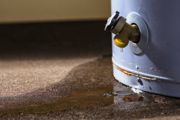 Best Basement water damage restoration  in San Felipe Pueblo, NM