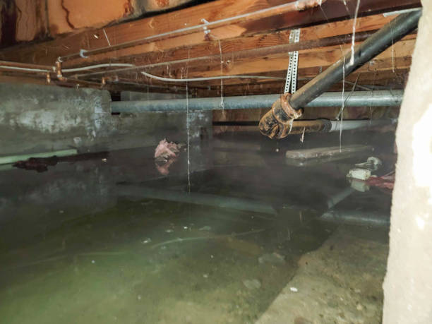 Best 24-hour water damage restoration  in San Felipe Pueblo, NM