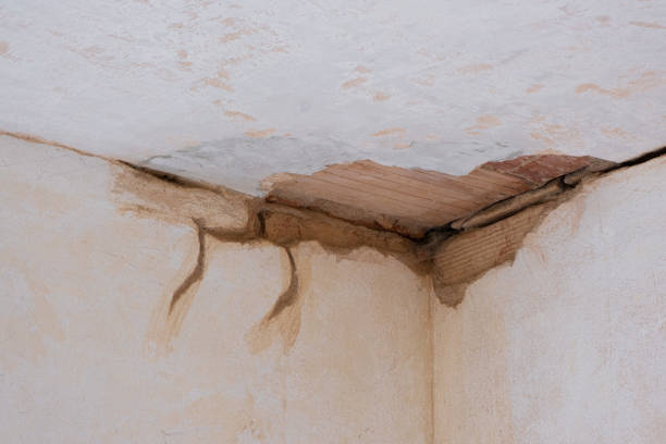 Best Basement water damage restoration  in San Felipe Pueblo, NM