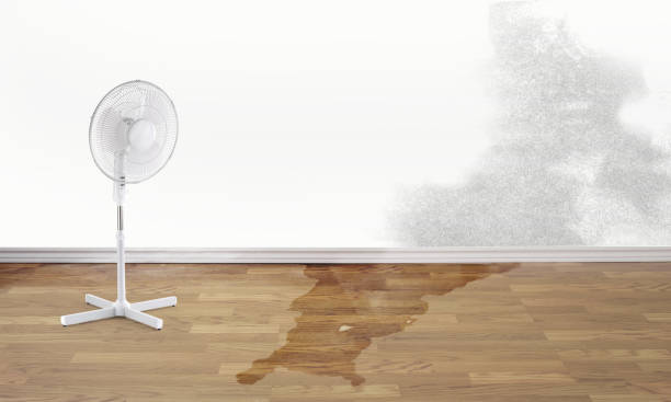 Best Flood restoration services  in San Felipe Pueblo, NM
