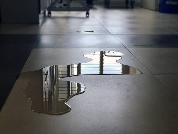 Best Water damage restoration company  in San Felipe Pueblo, NM