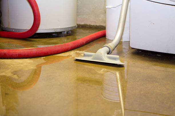 Best Water damage contractors near me  in San Felipe Pueblo, NM