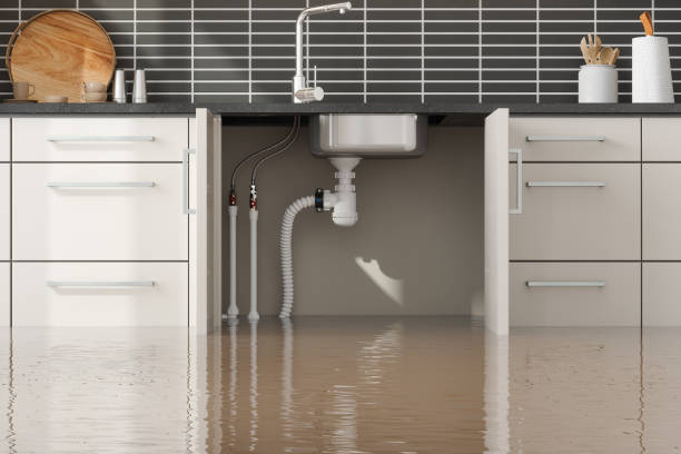 Best Commercial water damage restoration  in San Felipe Pueblo, NM