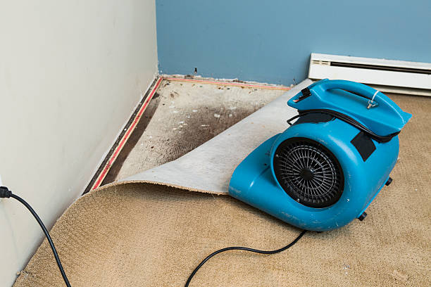 Reliable NM Water damage restoration Solutions